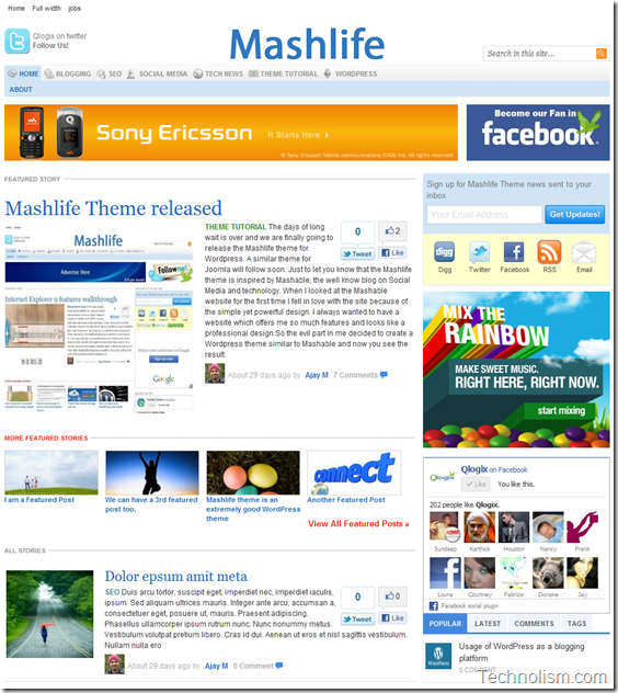 Mashlife WordPress Theme Demo