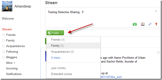 Selective sharing in Google Plus