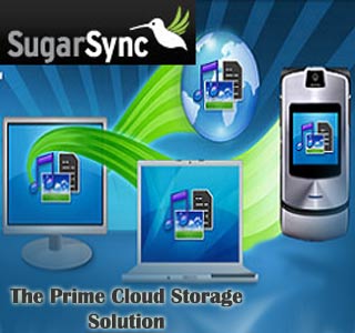 SugarSync Online Storage Service